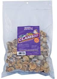 Ocean Nutrition Frozen Clams on the Half Shell 32oz