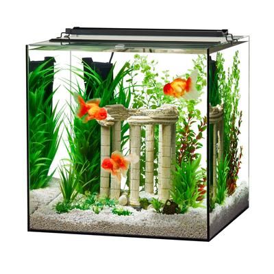 Frameless Cube Aquarium 35 Gallon