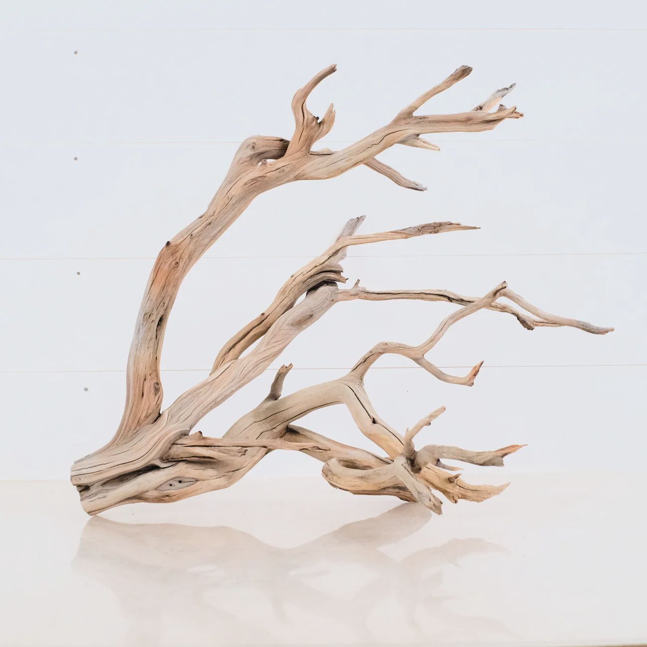 Manzanita Driftwood
