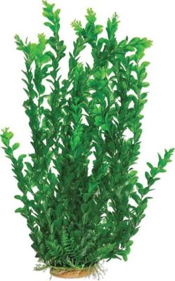 AQUATOP PD-BH53 25 Inch Light Green Medium Leaf Aquarium Plant with Weighted Base