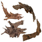 JBJ Malaysian Driftwood - Small 7" - 10"