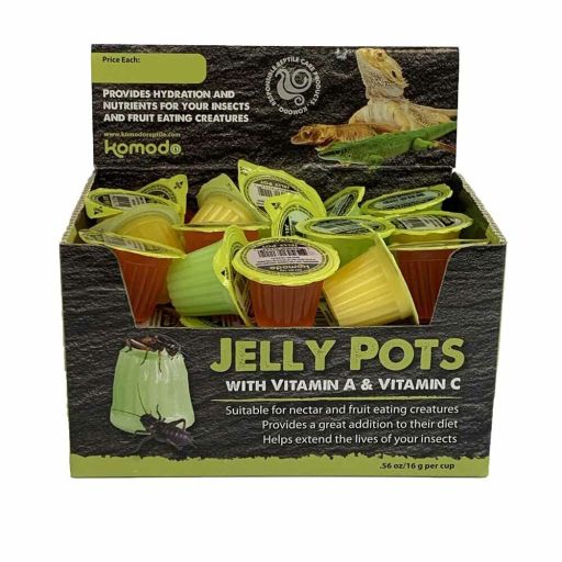 Komodo Jelly Pot