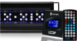 Current Orbit Marine LED Fixture 24"-36"