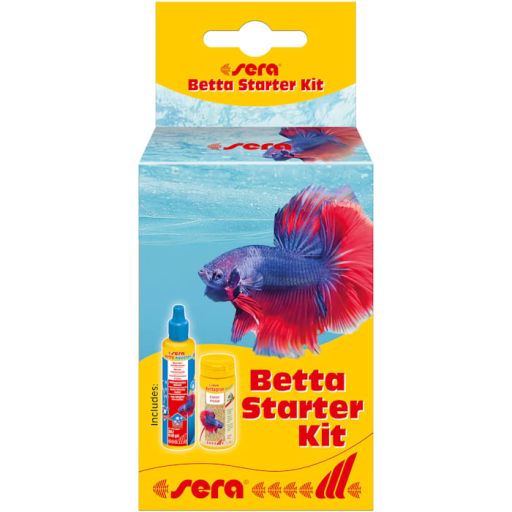 Betta Starter Kit