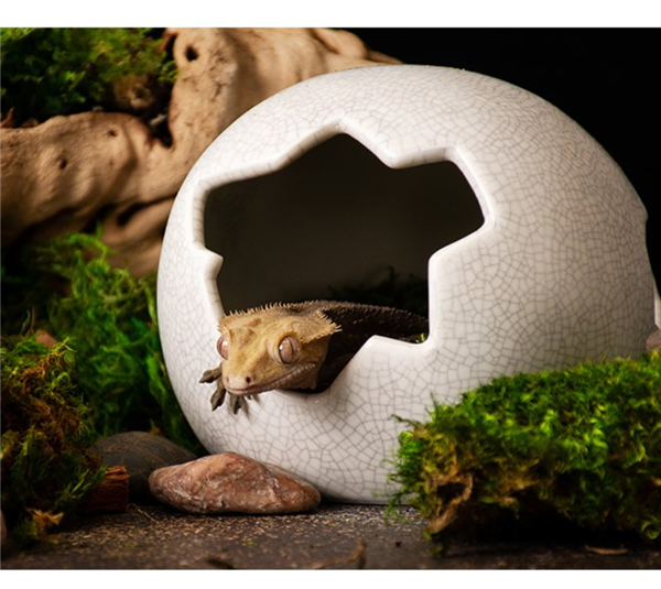 Galapagos Ceramic Egg Hide - Medium