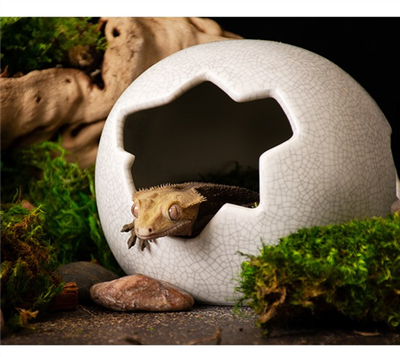 Galapagos Ceramic Egg Hide - Medium