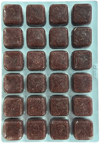 Hikari FROZEN Natural Blood Worms 3.5oz Cube