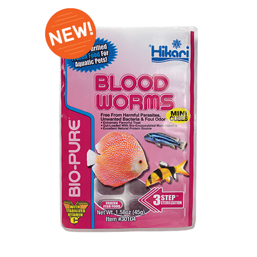 Hikari FROZEN Blood Worms 1.58oz Mini Cube