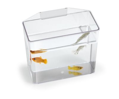 Lee Break Resistant Specimen Container Small Multi Purpose Treatment Holder Tank
