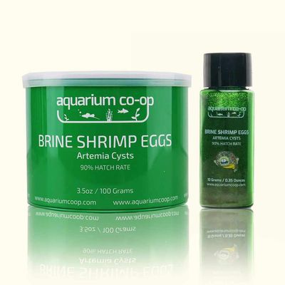 Aquariums Co-Op Brine Shrimp Eggs 10 grams