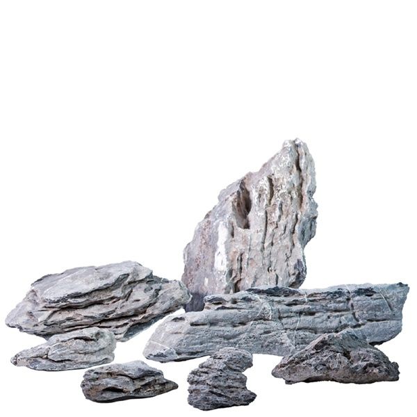 Pisces Seiryu Rock by the Pound
