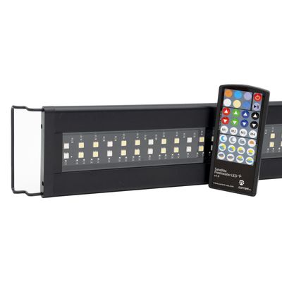 Current Satellite LED Fixture 48"-60"