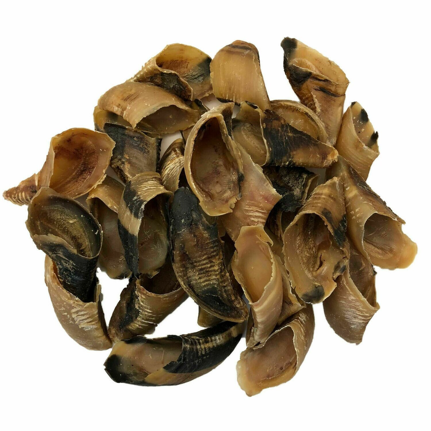 Dried Cow Hooves Dried Cow Hooves