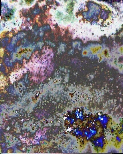 Early Homo Enamel