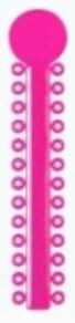 Hot Pink Ligature Ties
