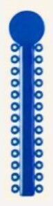 Royal Blue Ligature Ties
