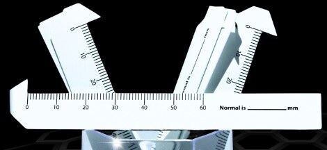 Mew Rulers 10/pkg