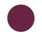 Burgundy Continuous PowerChain