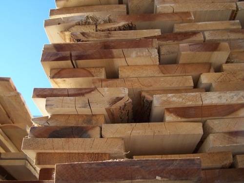 Wood-Shield
