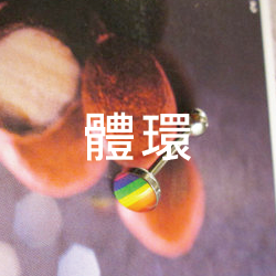 體環
