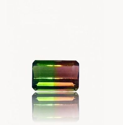 Tourmaline Bicolore Rose/Vert - 0,98 CT