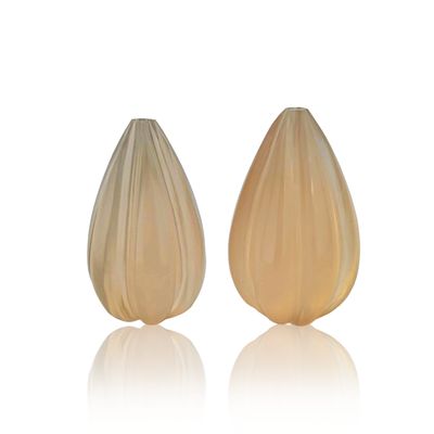 Calcédoine Brune - Lot De 2 - 29,58 CT