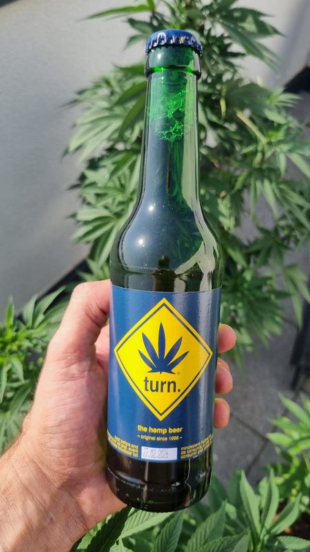 Turn The Hemp Beer – Hanfbier, 0,33 l (4,9 % vol.) 12x