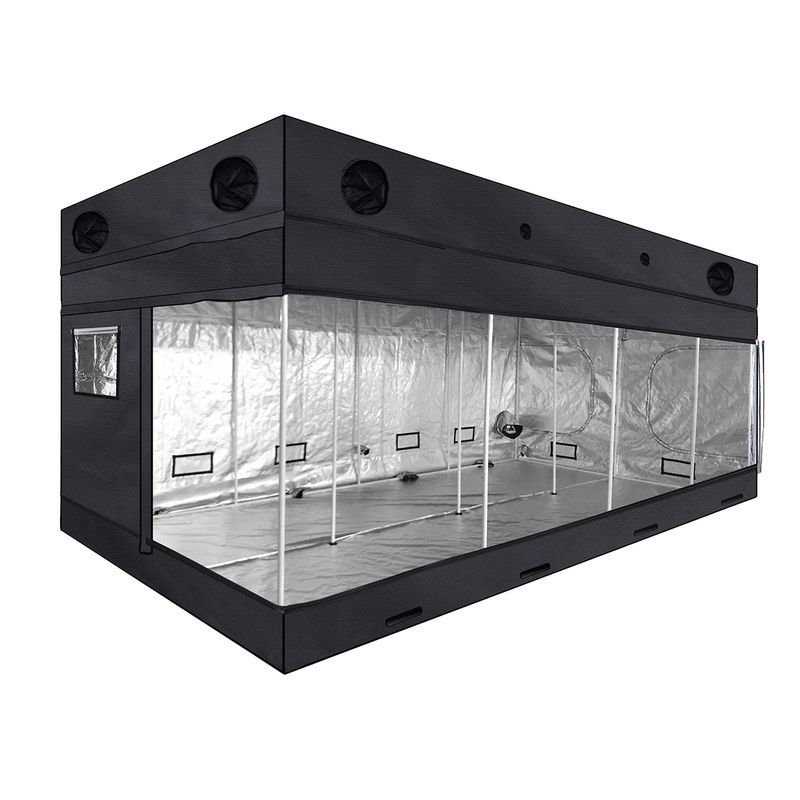 Dutch Masters PRO Growbox – 600 × 300 × 220/250 cm