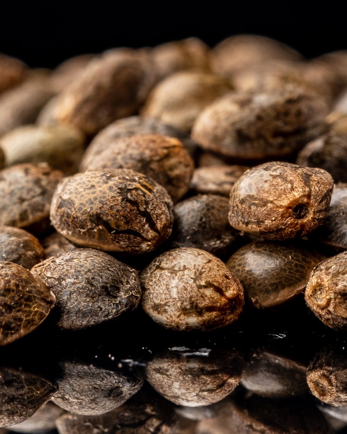 Kona Fruit