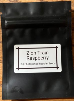 Zion Train Raspberry