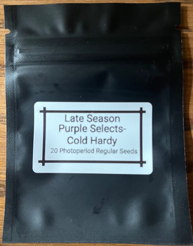 Late Season Purple Selects-Cold Hardy