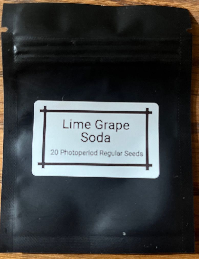 Lime Grape Soda