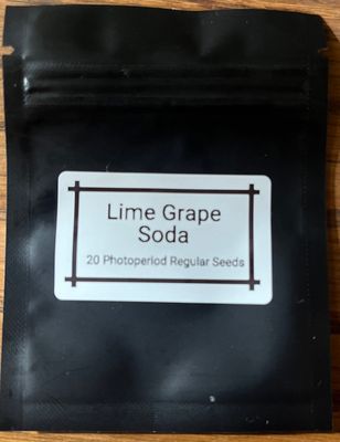 Lime Grape Soda