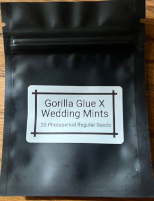 Gorilla Glue X Wedding Mints