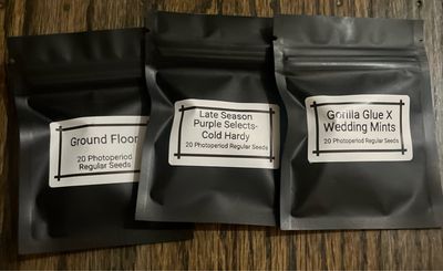Purps and Terps (60 seeds)