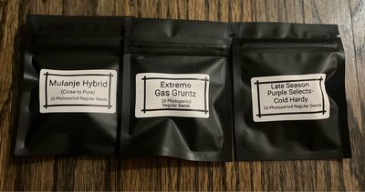 Potpourri (60 seeds)