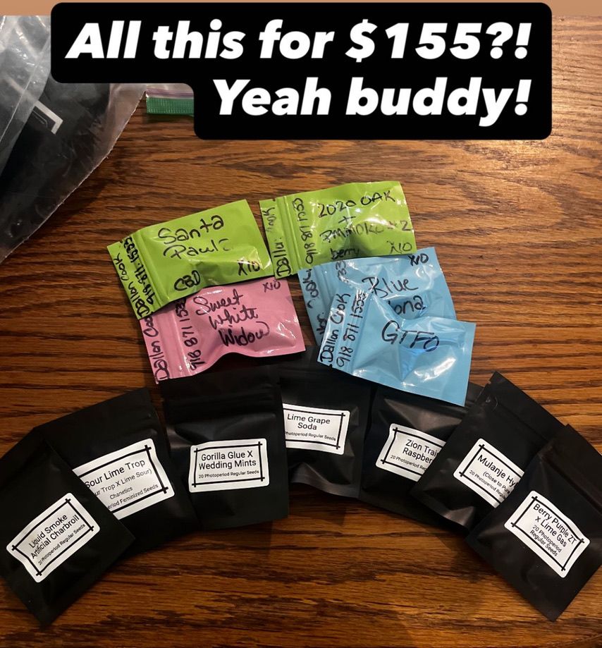 Equinox Pack #1 (175 seeds!)