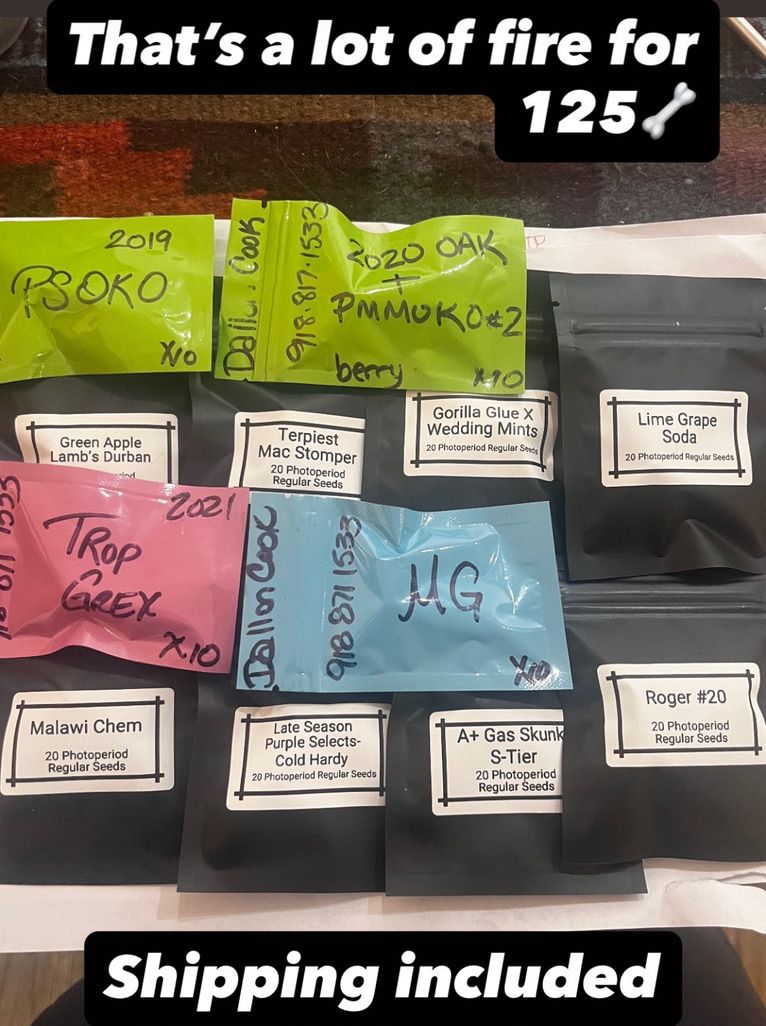 Equinox Pack #2 (200 seeds!)