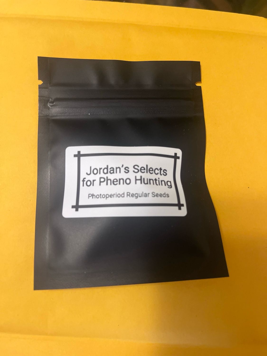 Jordan’s Pheno Hunting Selections