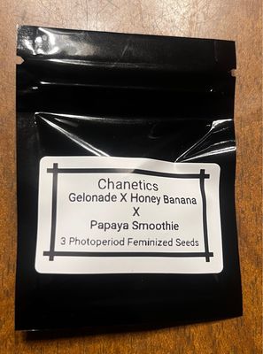 CHA Gelonade x Honey Banana x Papaya Smoothie