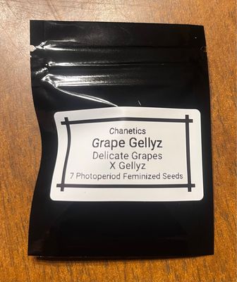 CHA Grape Gellyz — Delicata Grapes × Gellyz
