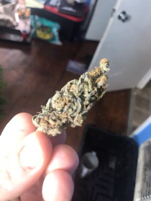 Double Up (regulars)