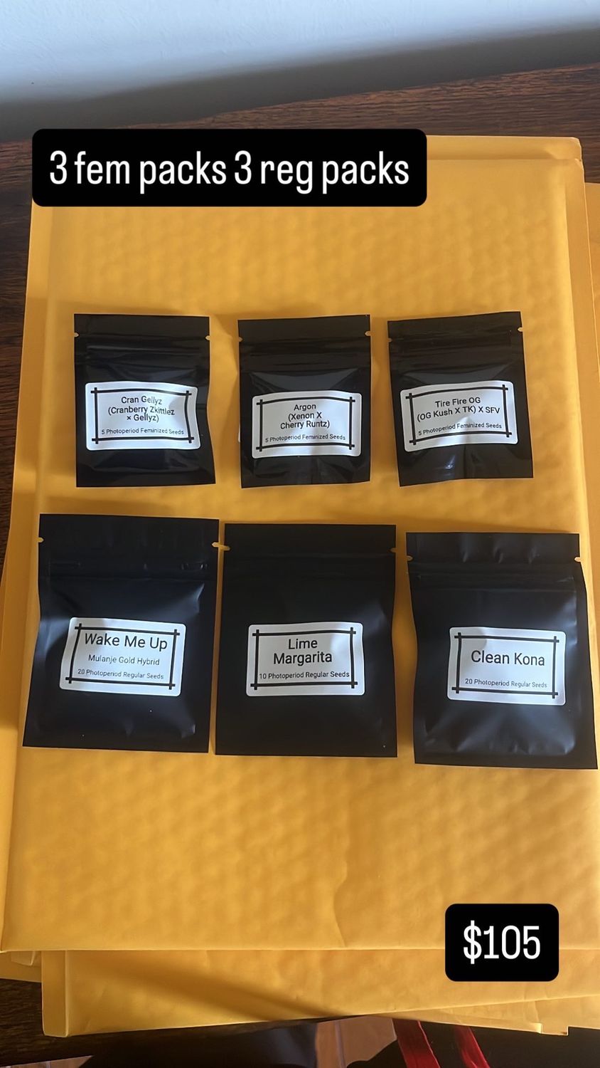 Insta Bundle