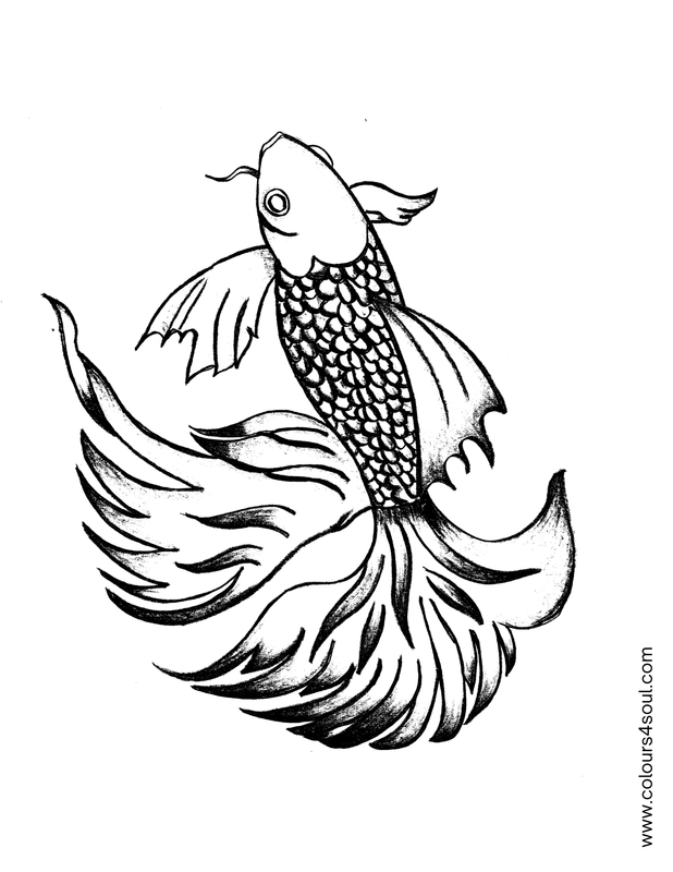 Red Crowntail Betta Fish - 1
