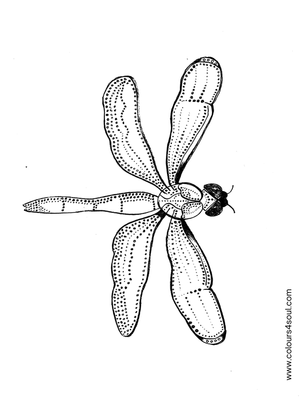 Dragonfly stippling art - insect 1