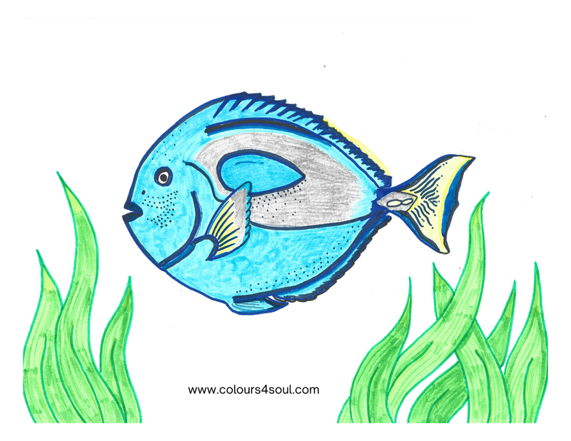 Hand-Drawn Collection