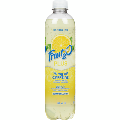 Fruit2O Flavoured Sparkling Water Beverage Plus Lemon