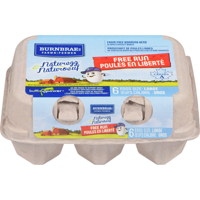Burnbrae Farms Naturegg Free Run Eggs, Large