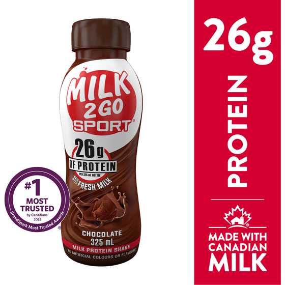 Milk 2 Go Chocolate Protein Shake