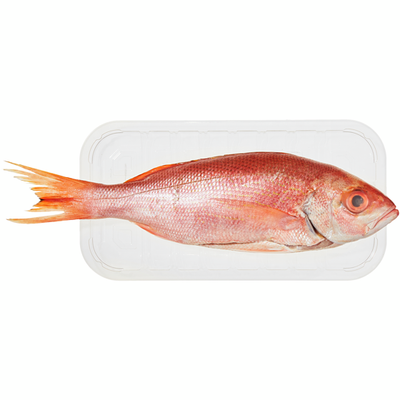 Whole Lane Snapper